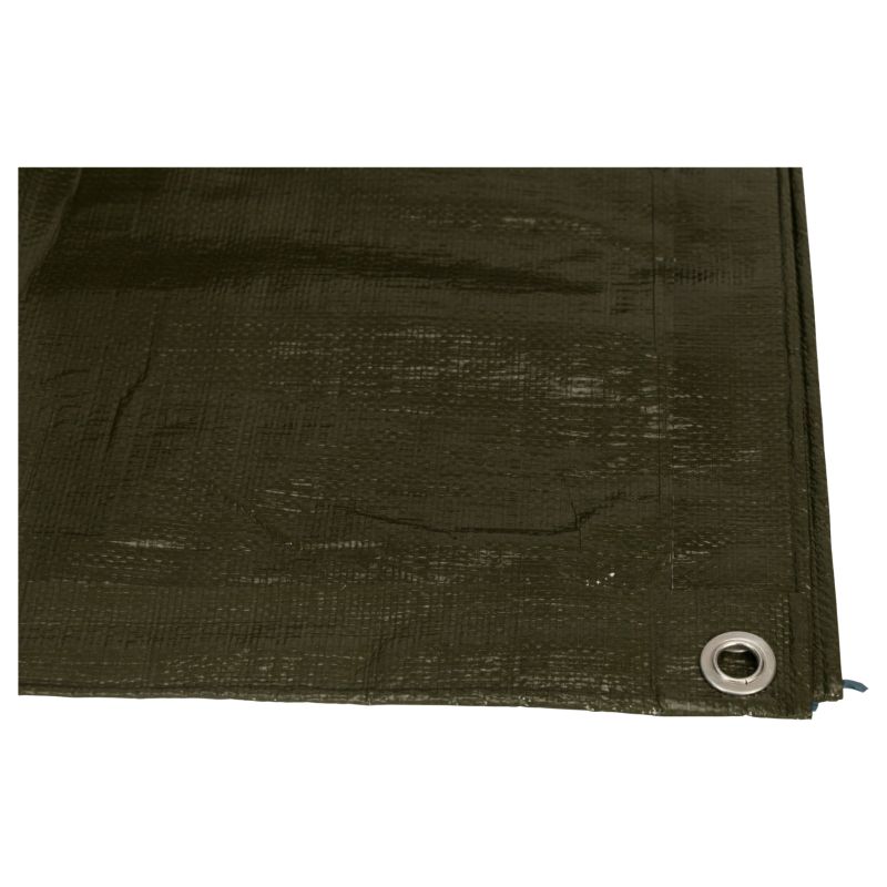 Scala bache vert olive 4x6 100gr eur/pc