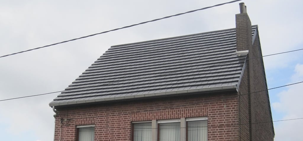 Crea tuile domino noir engobe noble eur/1000pcs 745