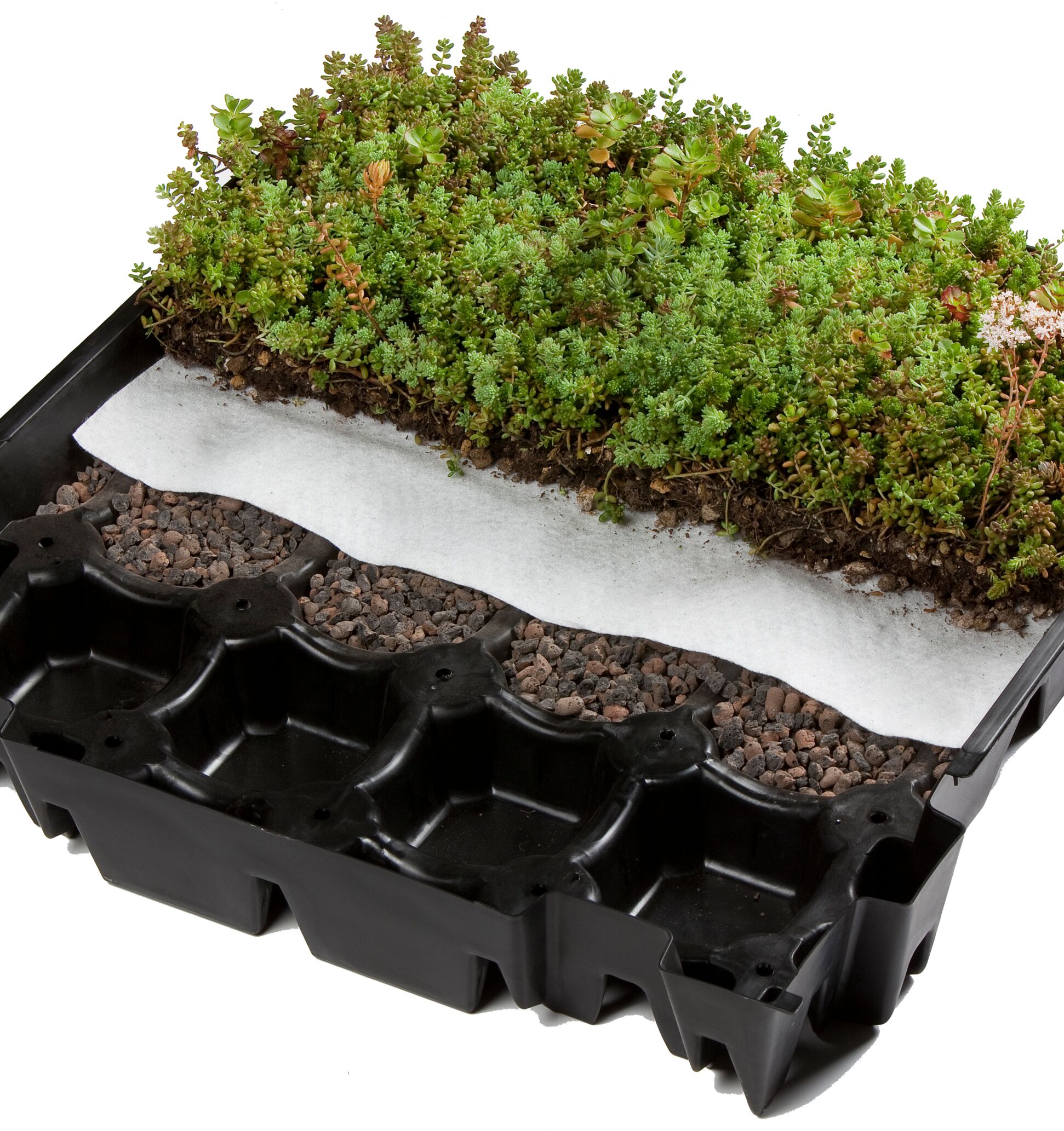 Sopr toundra box eco 490x495mm 4,4pc/m2 eur/pc 00117192