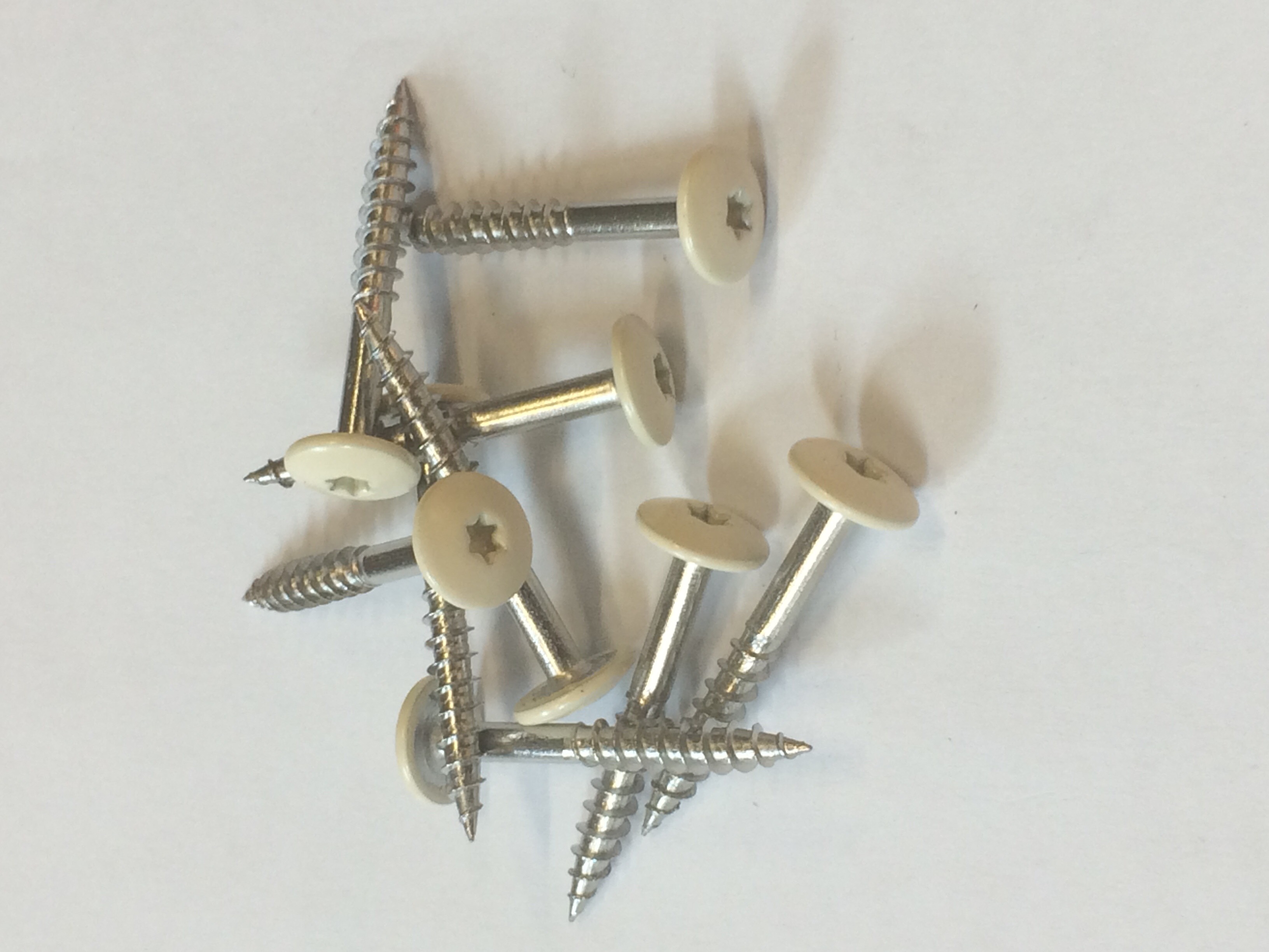 Cedral vis inox a4 4,8x38 c02 vanille 100pcs/bt eur/bt